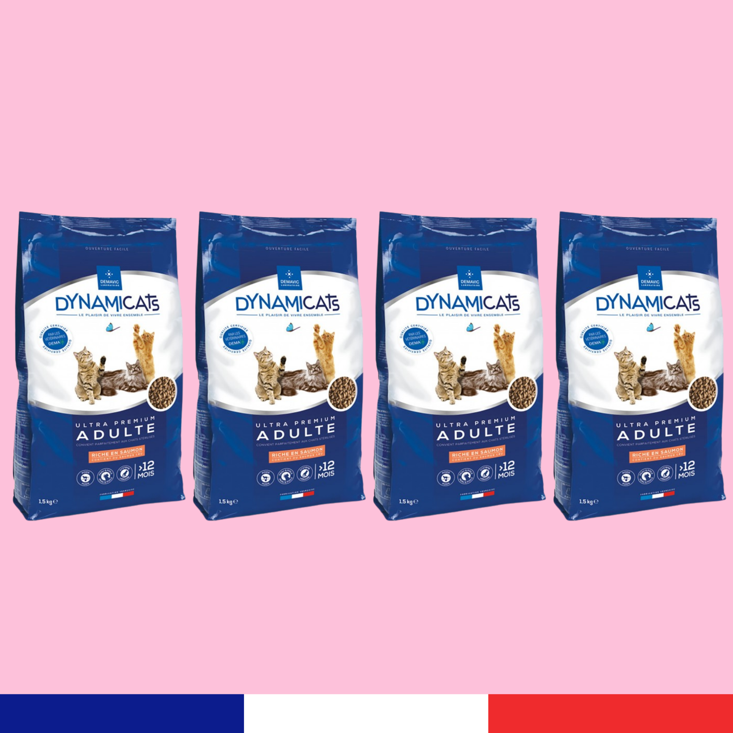 Dynamicats Saumon x4