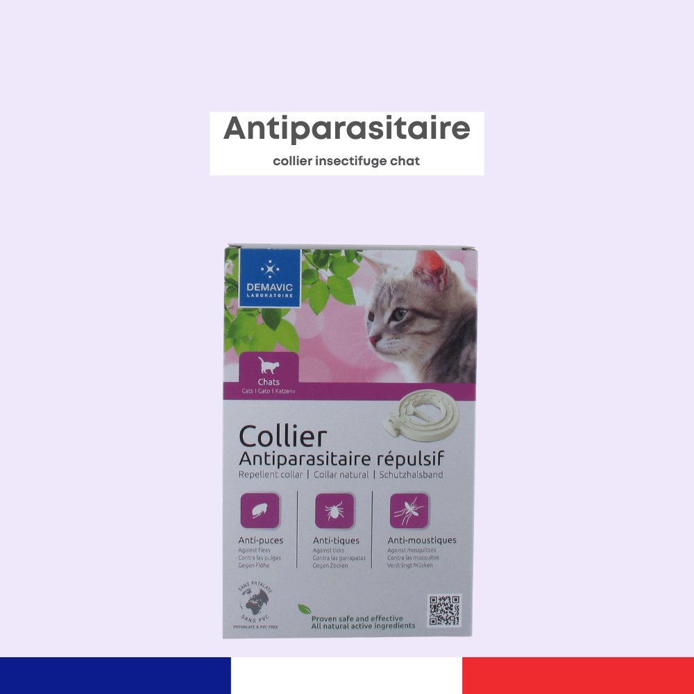 Collier Insectifuge Chat
