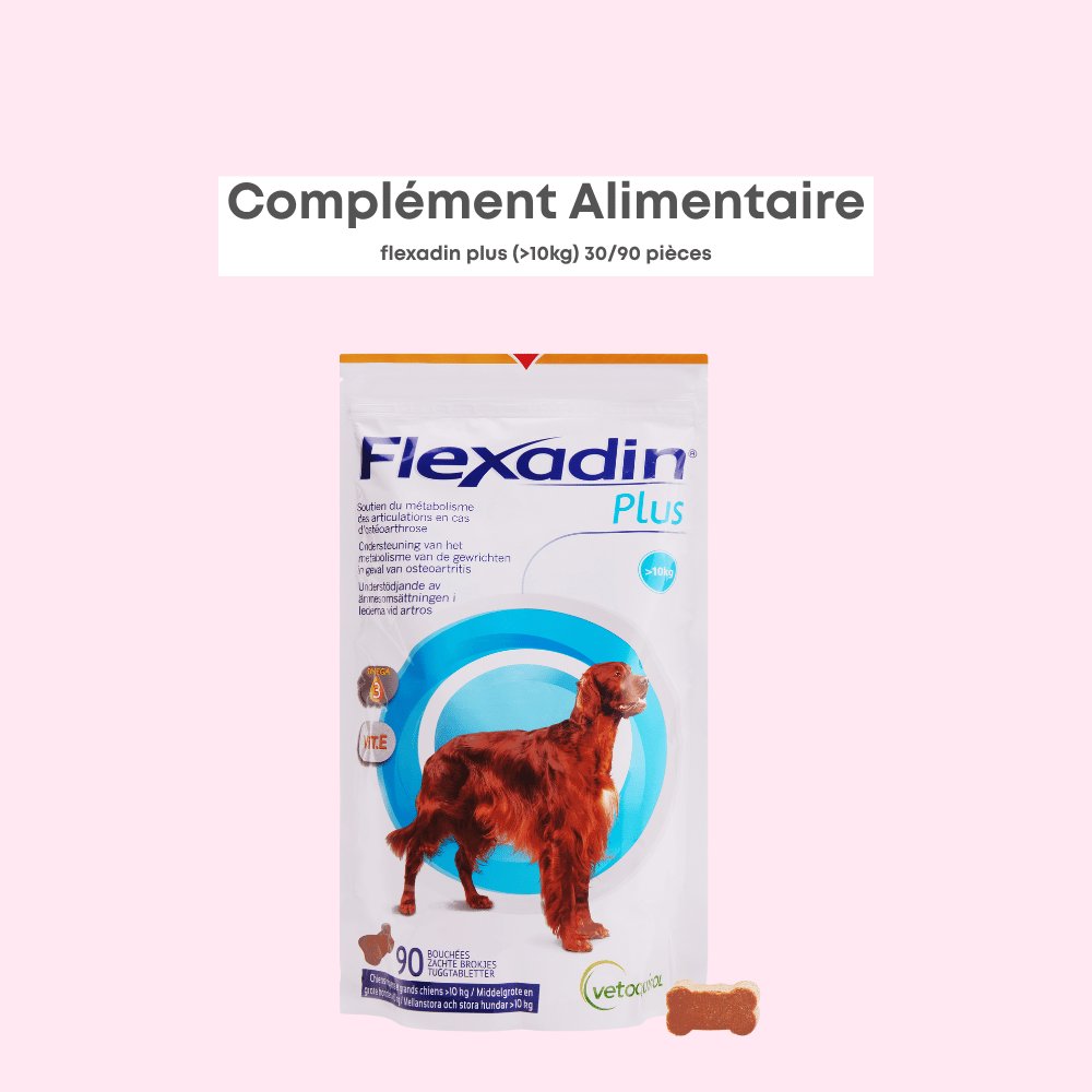 Flexadin Plus Maxi