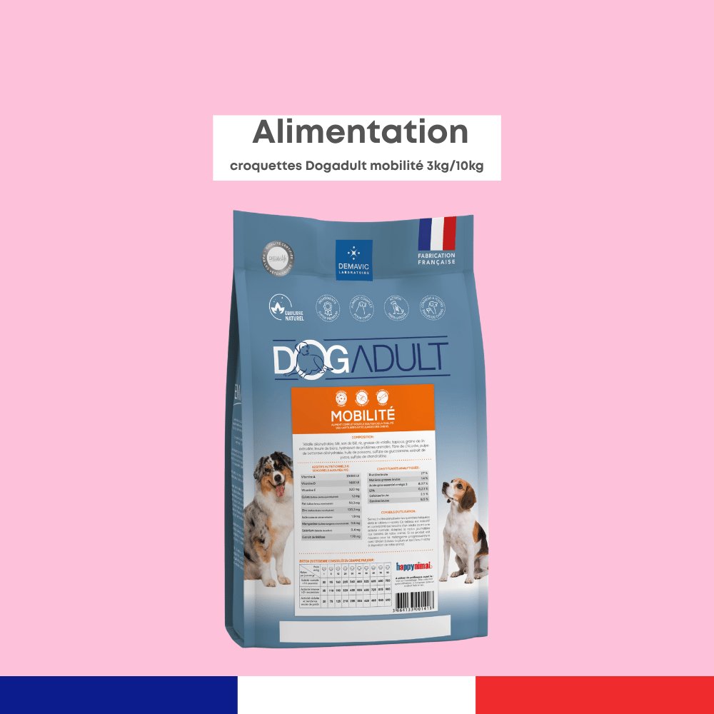 Dogadult Mobilité