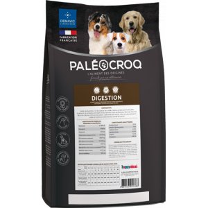 Croquettes chien digestion