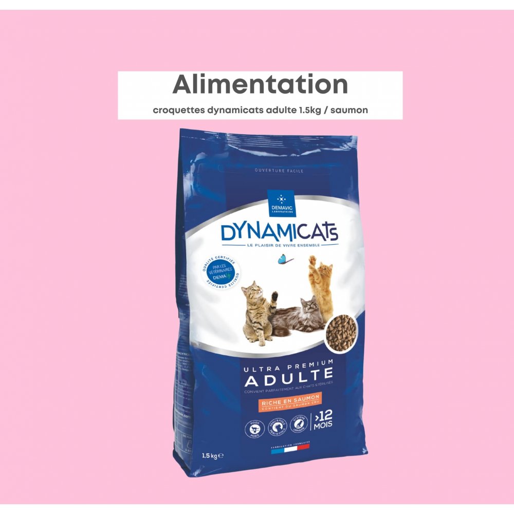 DYNAMICAT ADULT SAUMON 1,5 kg