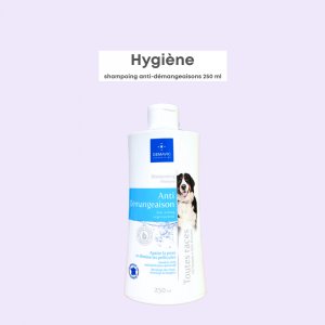 Shampoing Anti-Démangeaisons