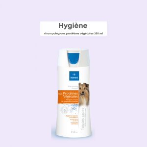 Shampoing aux Protéines Végétales