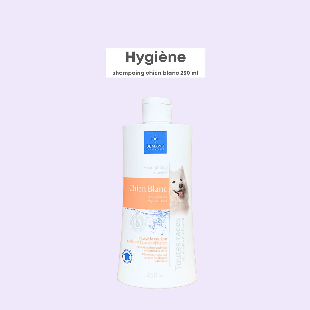 Shampoing Chien Blanc