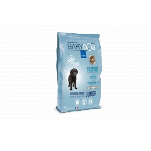 Babydog Grandes Races