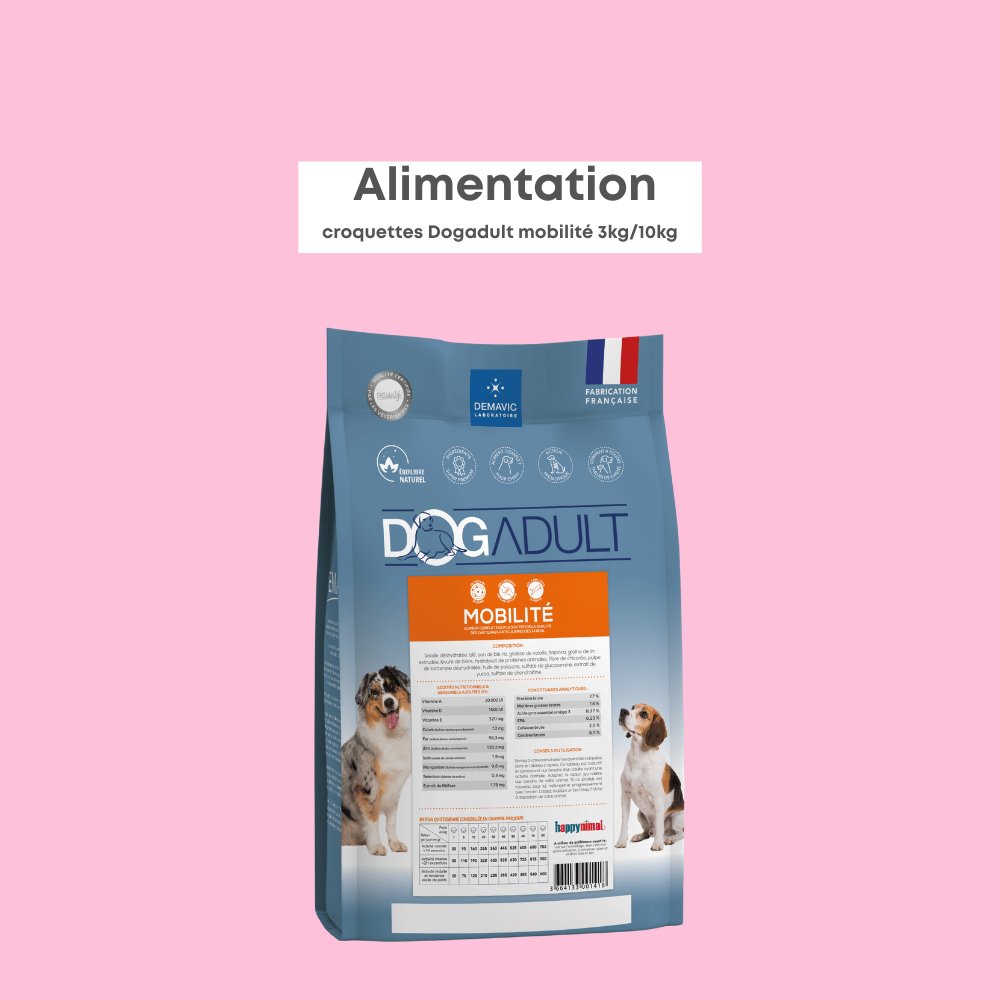 Dogadult Mobilité