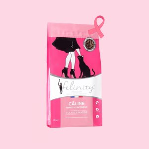 Felinity femelle d'intérieur 1,5 kg