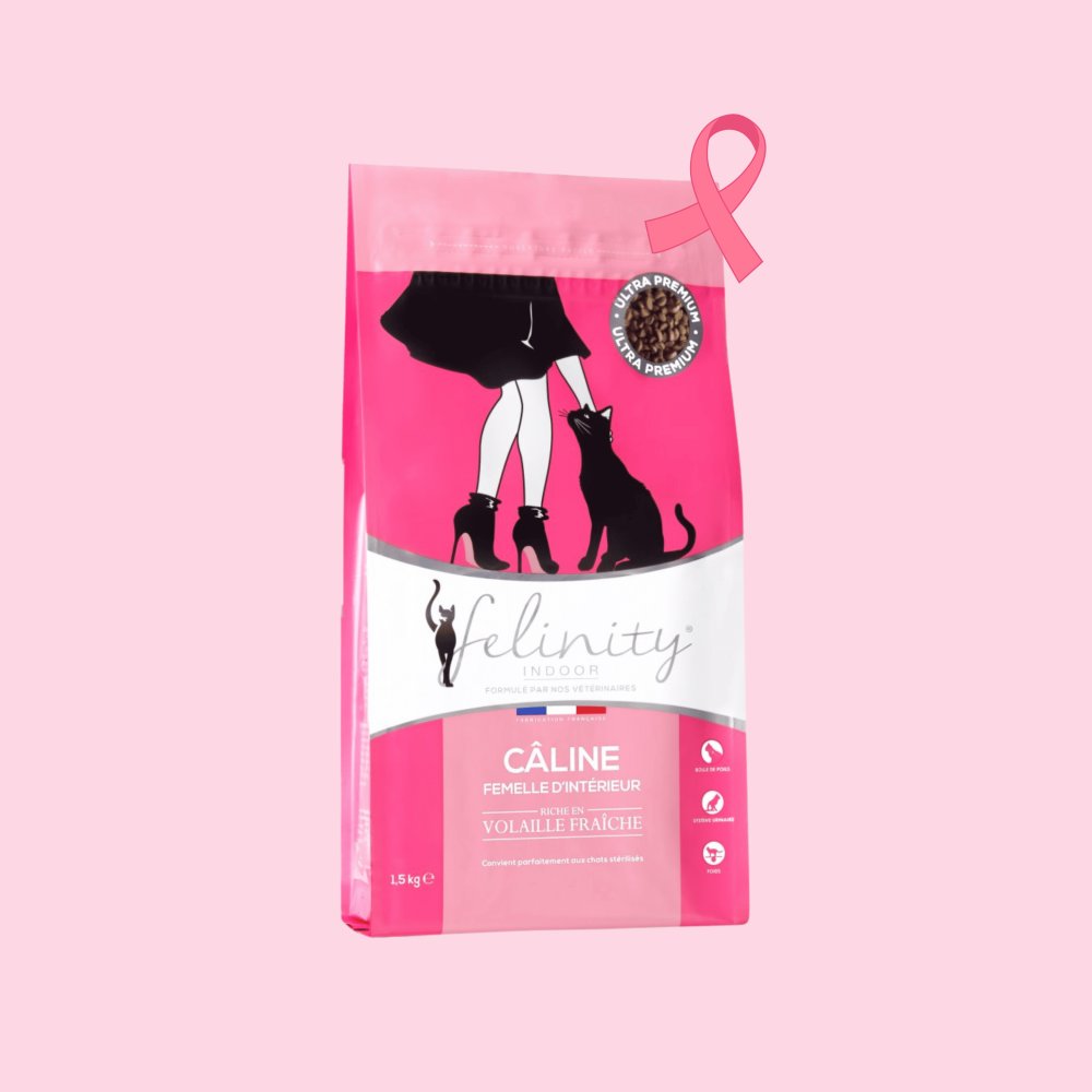 Felinity femelle d'intérieur 1,5 kg