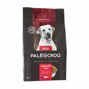 Paléocroq Grandes Races