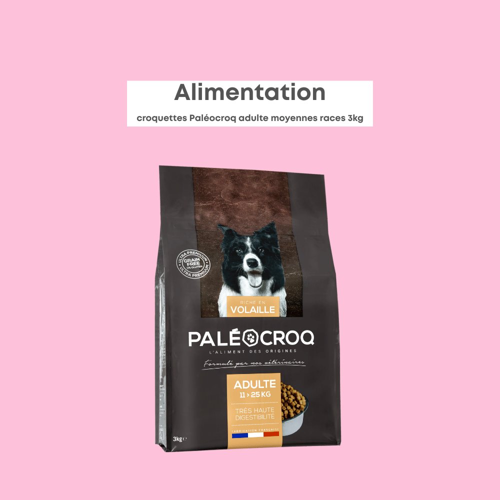 Paléocroq Moyennes Races