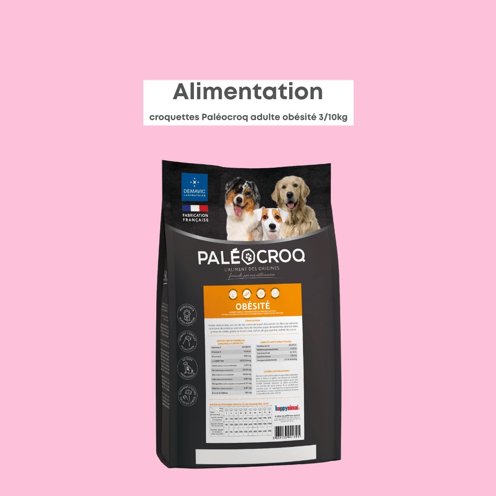 Paléocroq Obésité