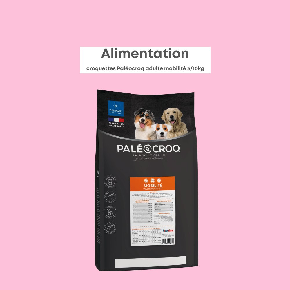 Paléocroq Mobilité