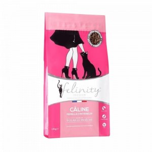 Felinity Câline