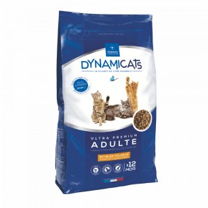 Dynamicats Adulte Volaille