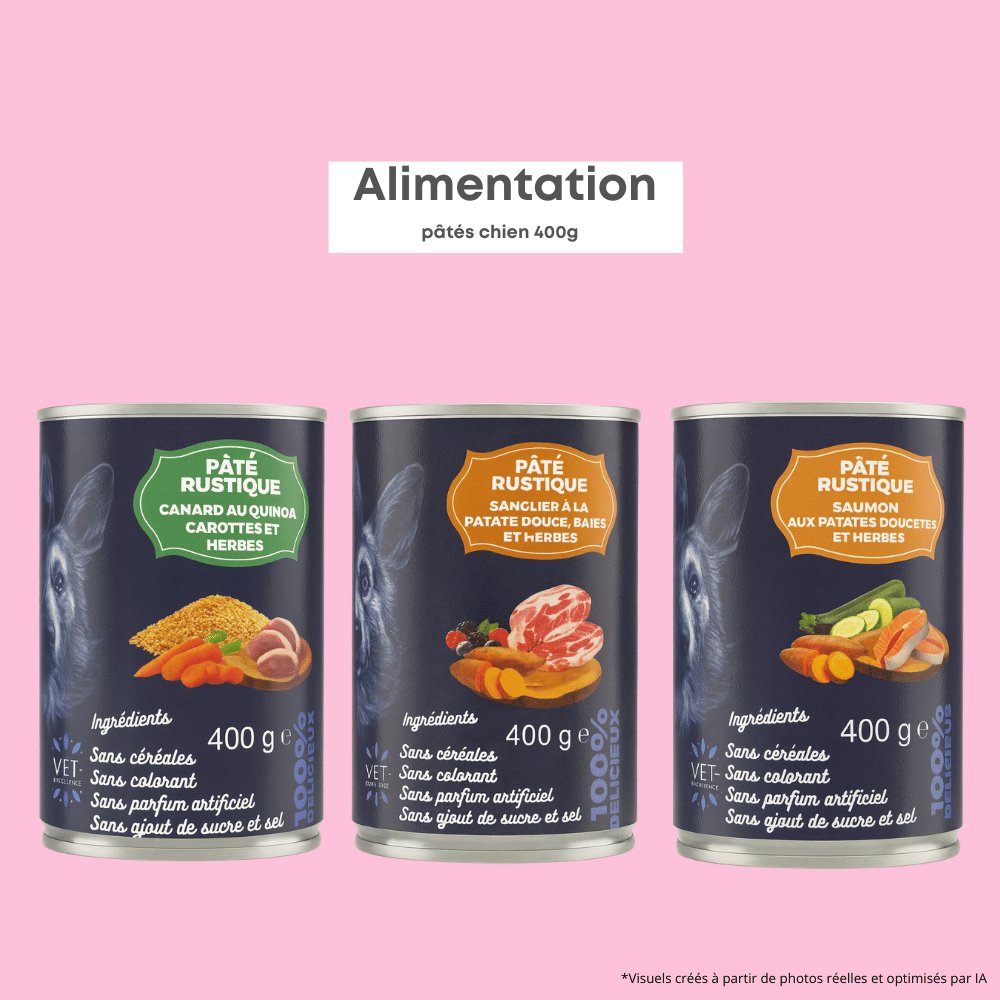 Pâtés Rustiques Chien