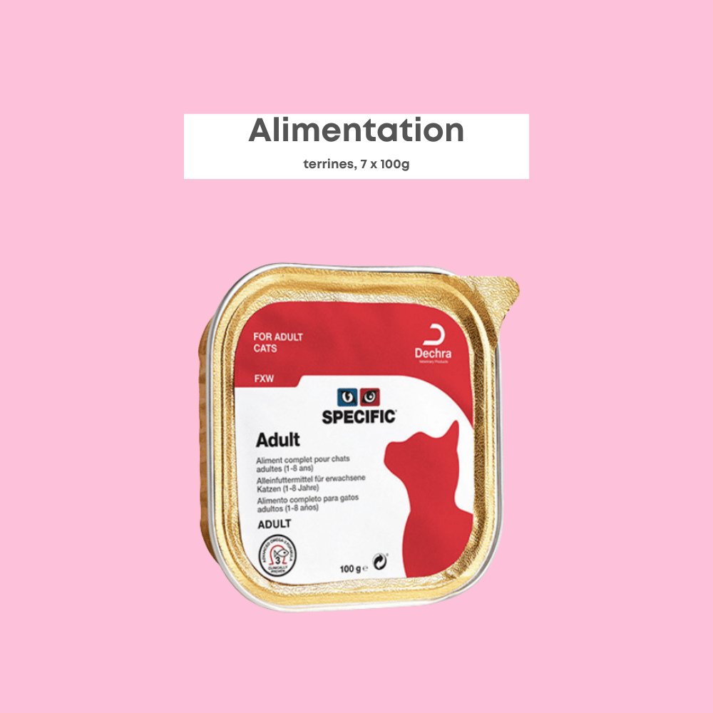 Terrines Porc - 7 x 100g