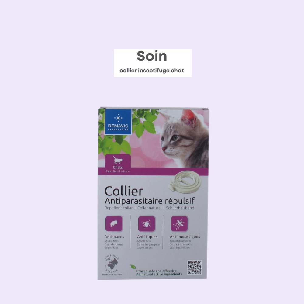 Collier Insectifuge Chat
