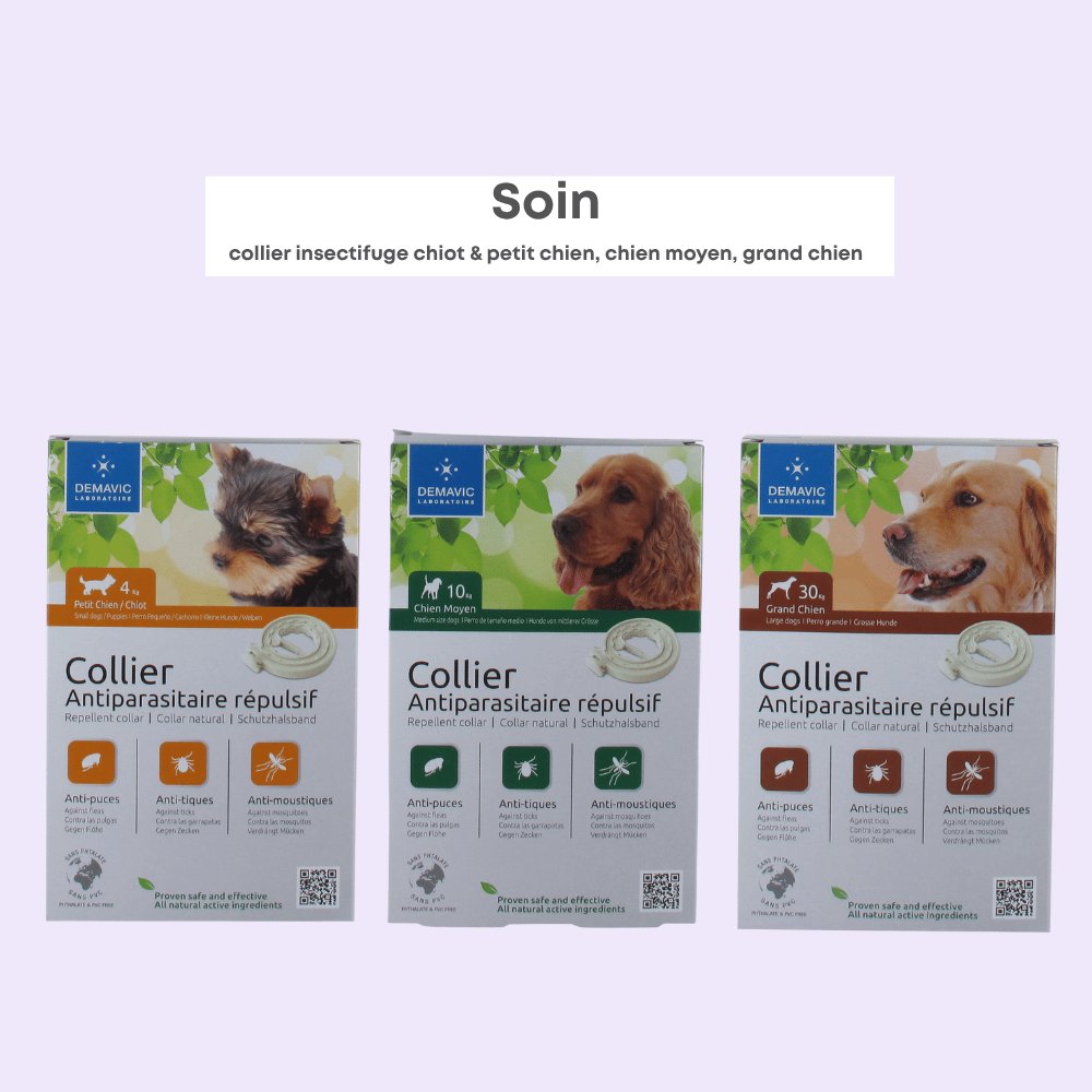 Colliers Insectifuges Chiens