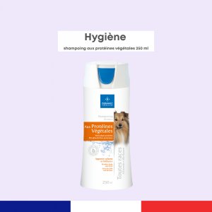 Shampoing aux Protéines Végétales