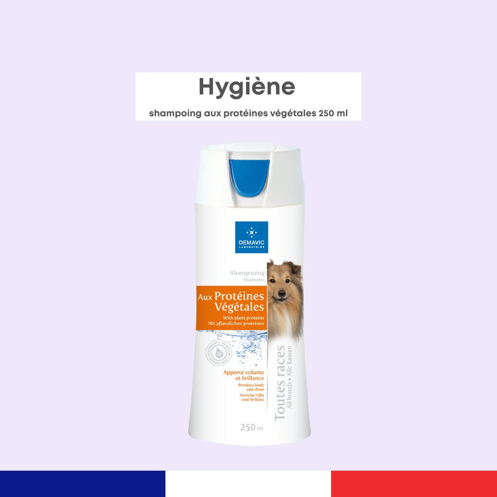 Shampoing aux Protéines Végétales