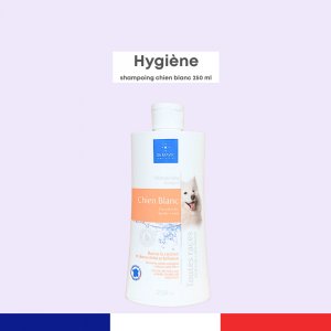 Shampoing Chien Blanc
