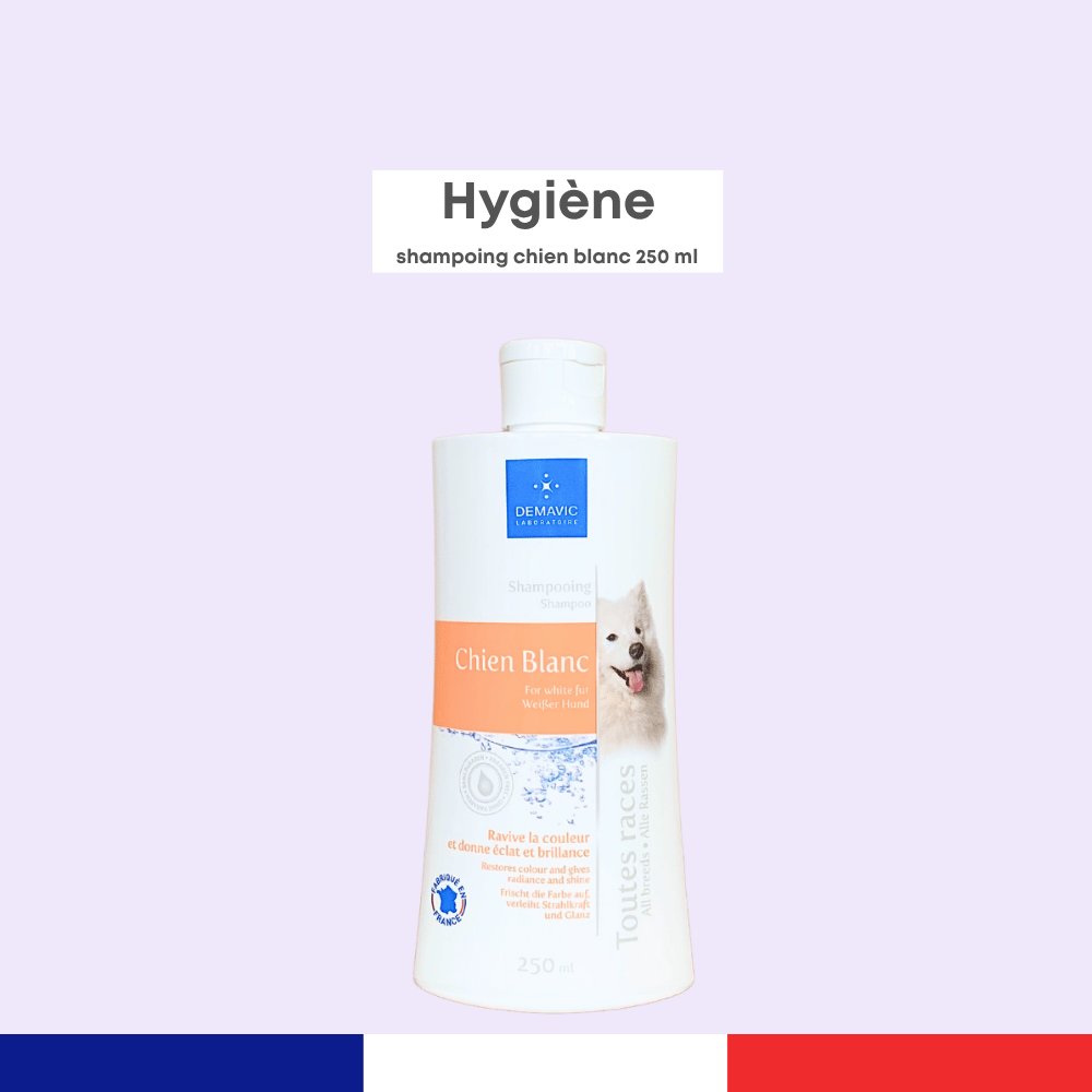 Shampoing Chien Blanc