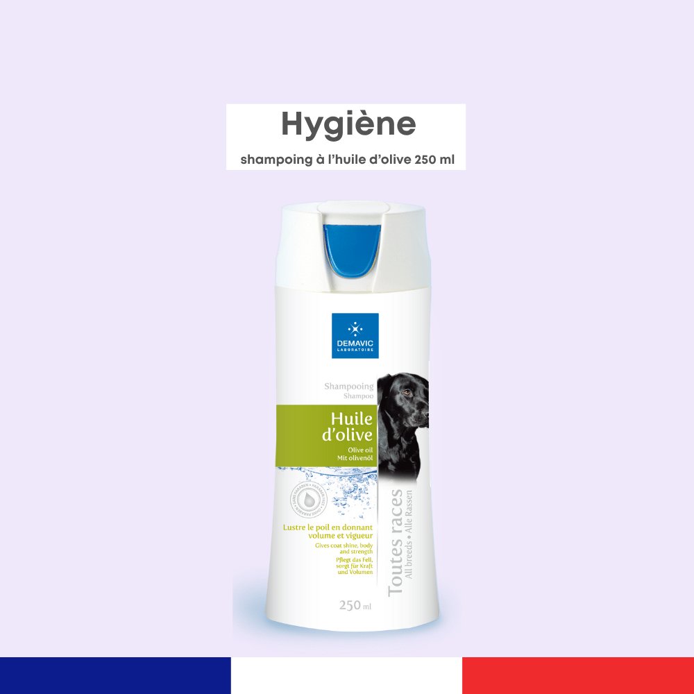 Shampoing Huile d'Olive