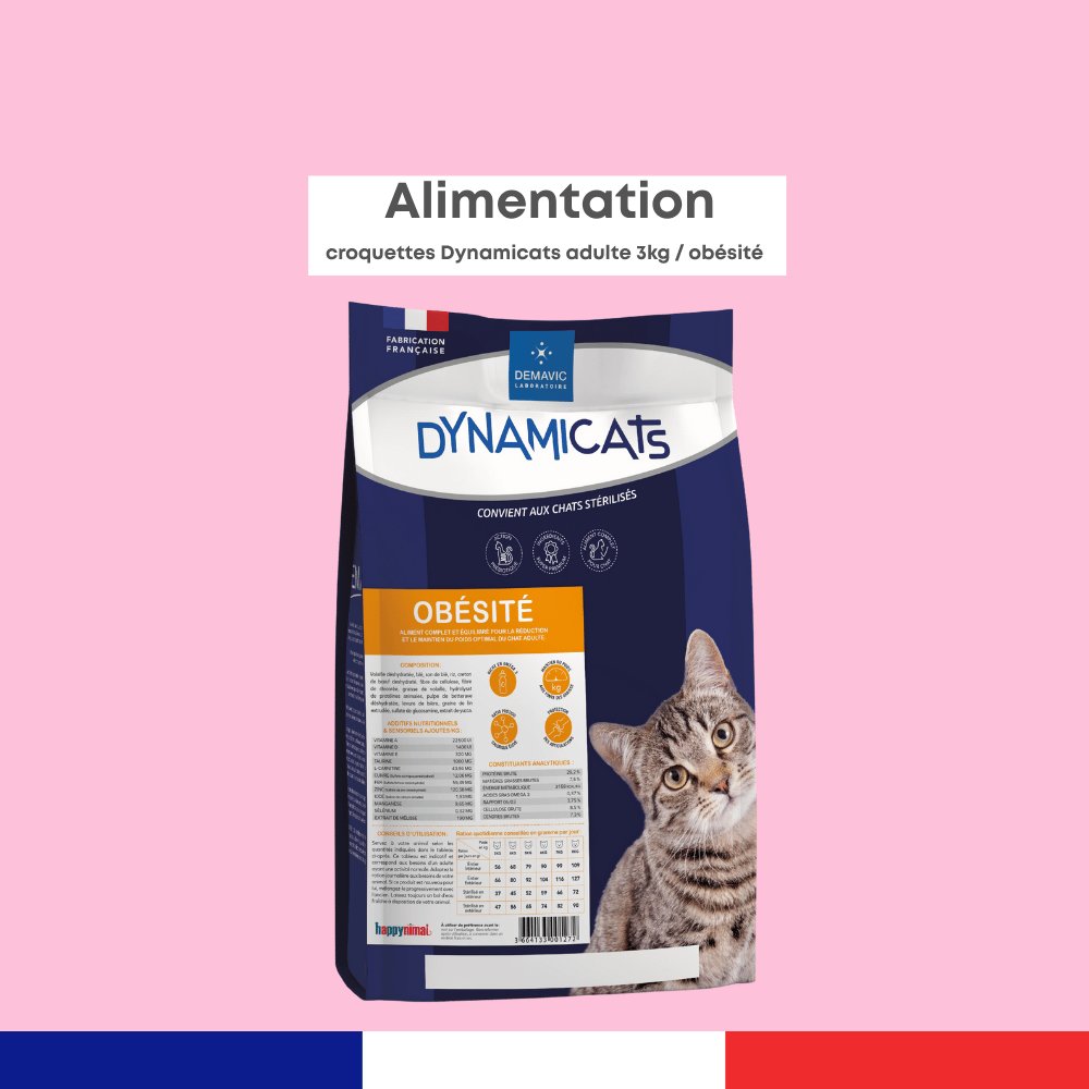 Dynamicats Obésité