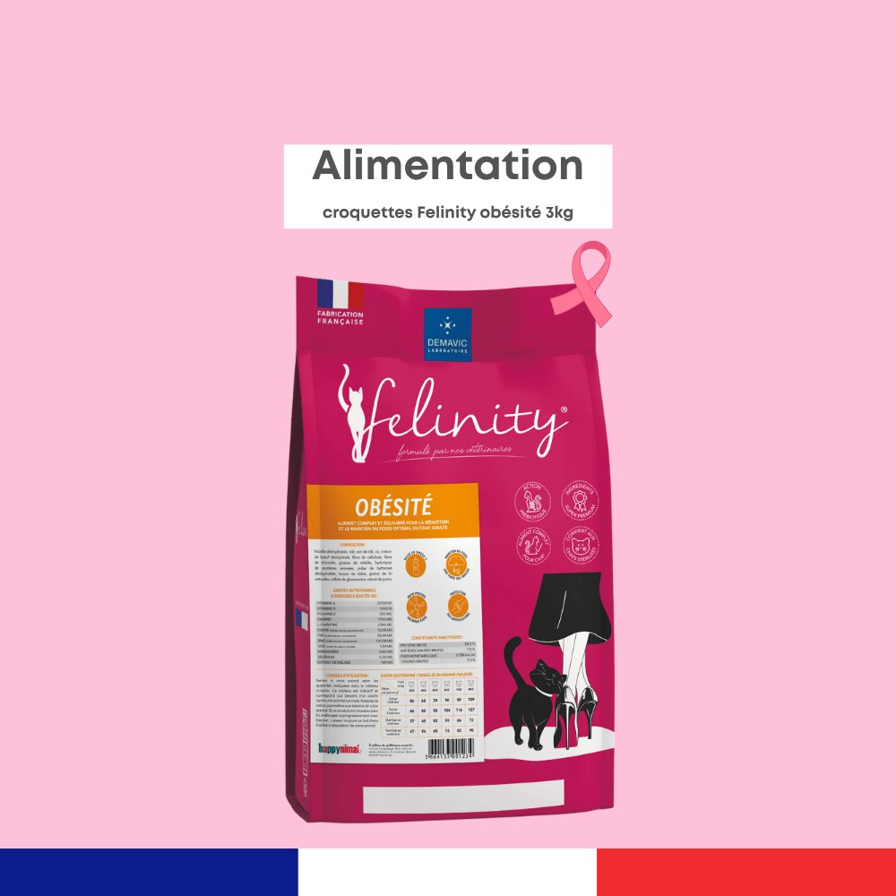 Felinity Obésité*