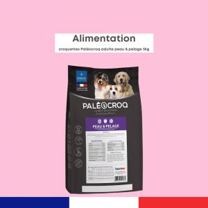 Paléocroq Peau Pelage