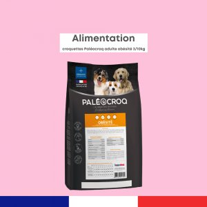 Paléocroq Obésité