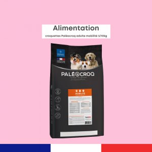 Paléocroq Mobilité