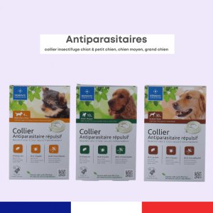 Colliers Insectifuges Chiens