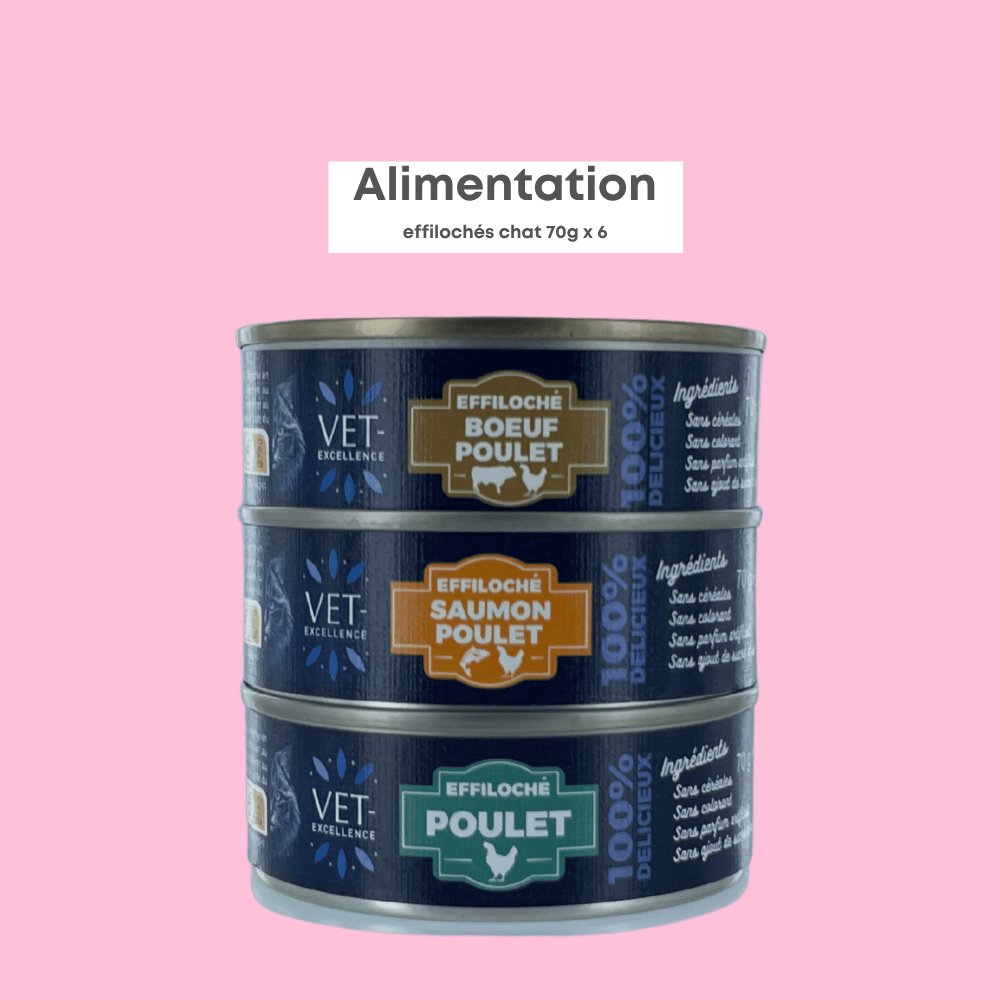 Effilochés Chat (x6)