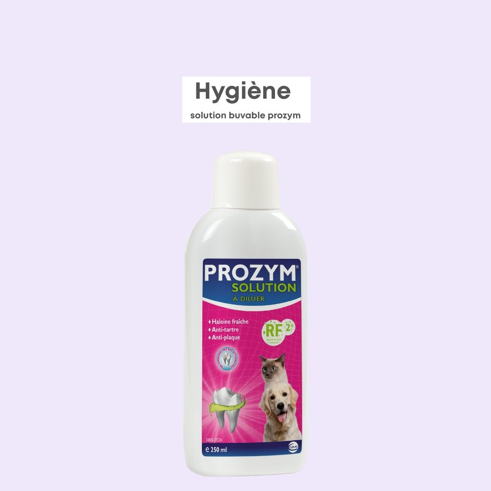 Solution Buvable Prozym
