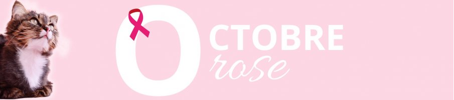 Octobre Rose : -25% sur les produits roses | Soutenez le CGFL Dijon