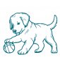 Chiots