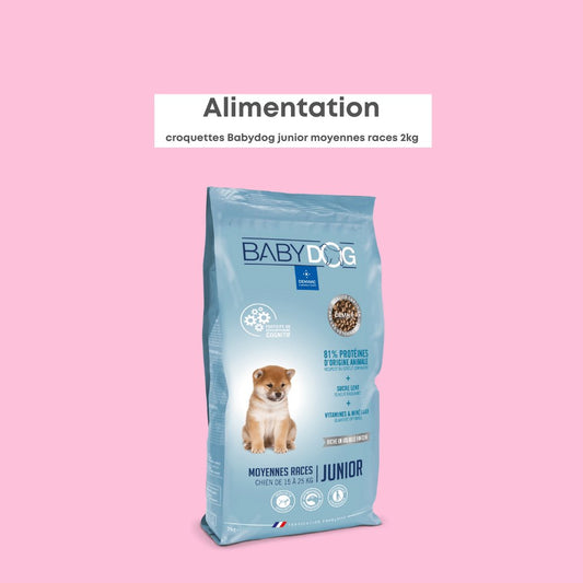 Babydog Moyennes Races