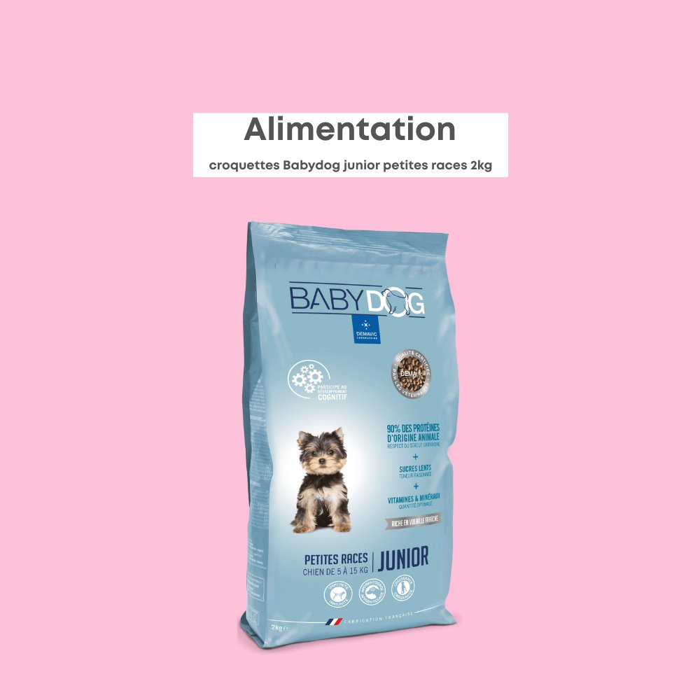 Babydog Petites Races