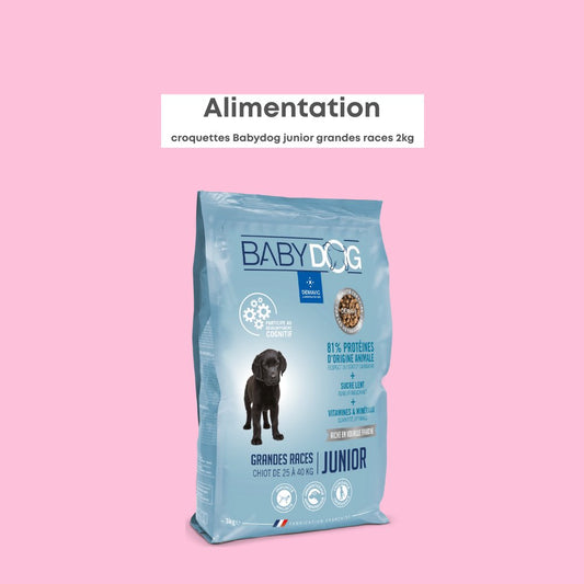 Babydog Grandes Races