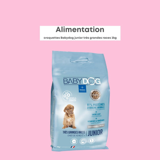 Babydog Très Grandes Races