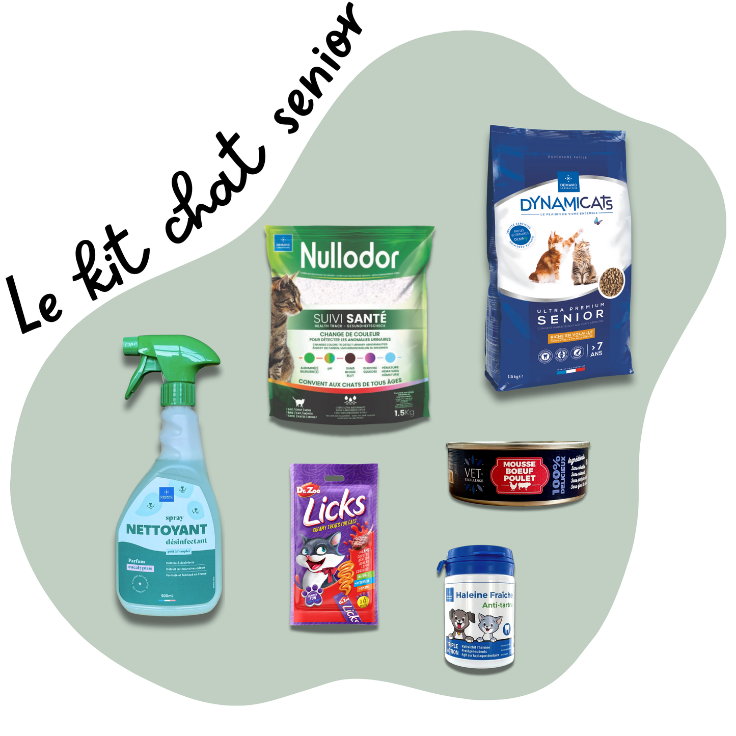 Kit Chat Senior