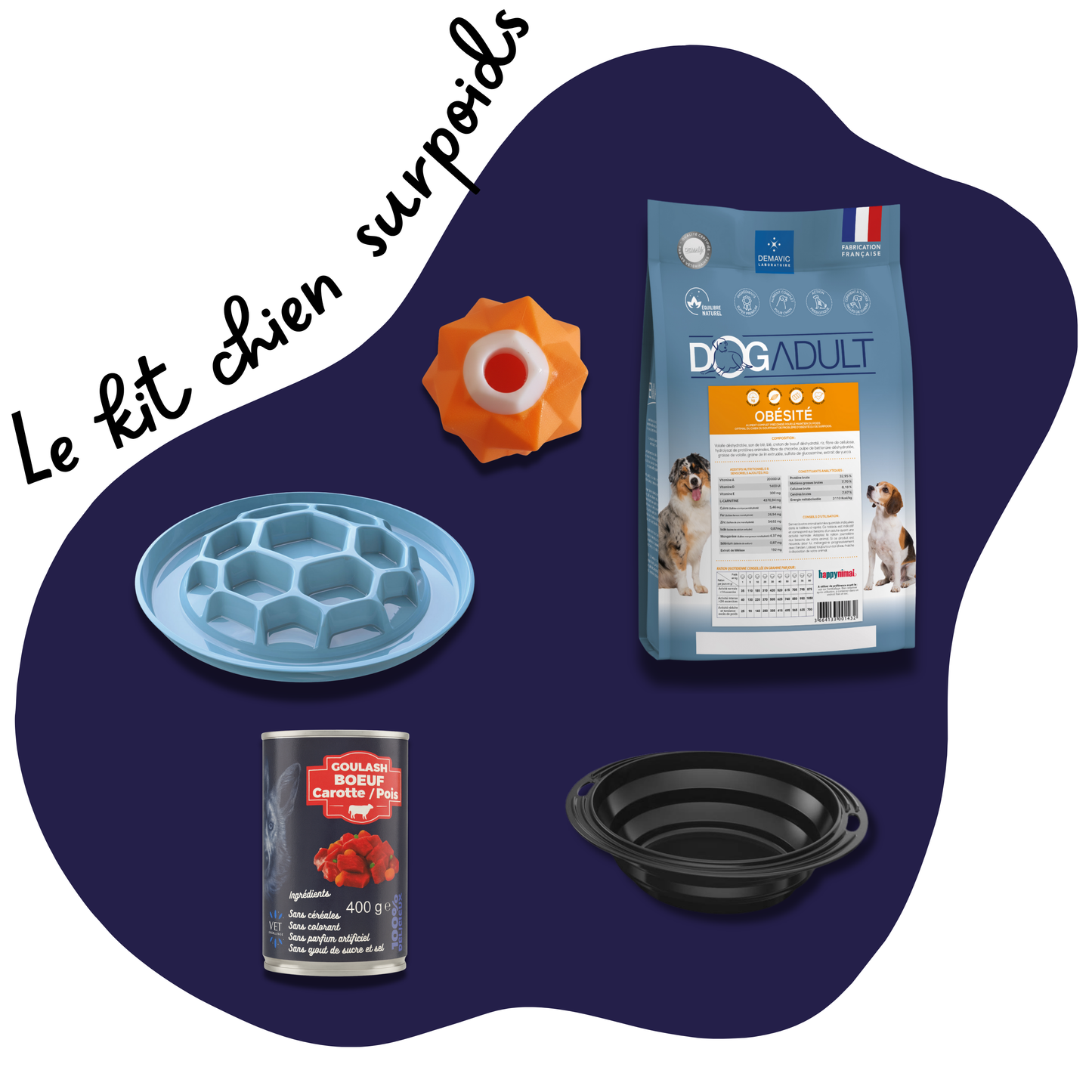 Kit Chien Obésité