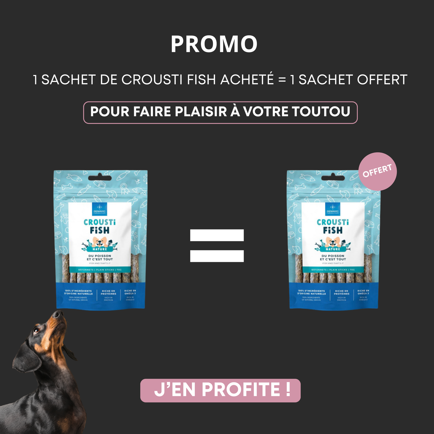 Crousti Fish Bâtonnets