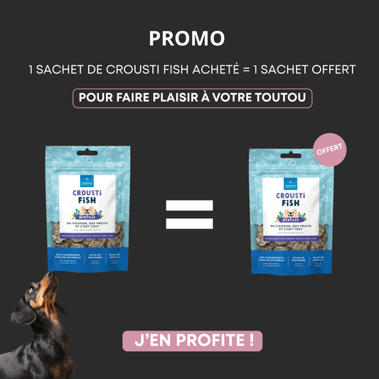 Crousti Fish Médaillons