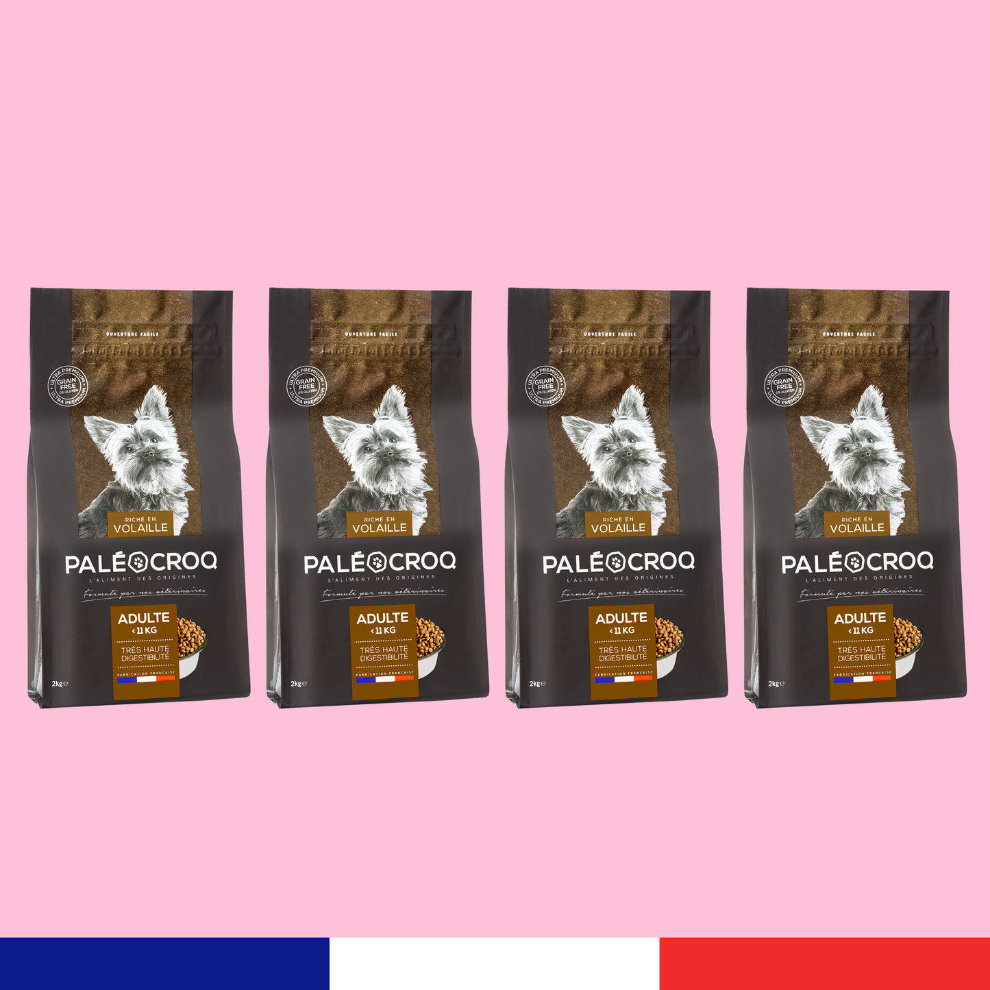 Paléocroq Petites Races x4