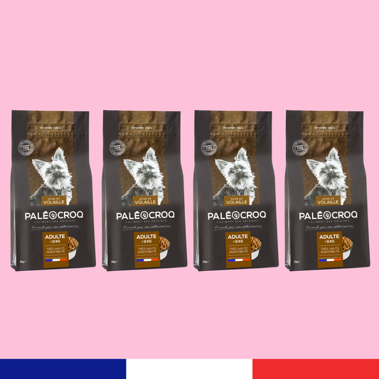 Paléocroq Petites Races x4