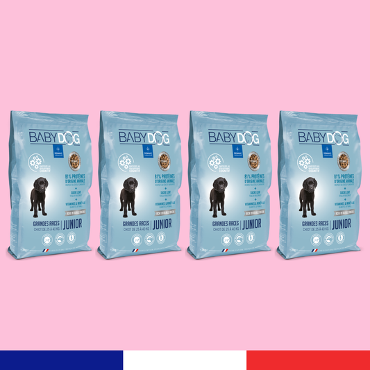 Babydog Grandes Races x4