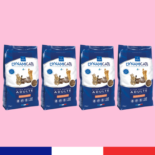 Dynamicats Saumon x4